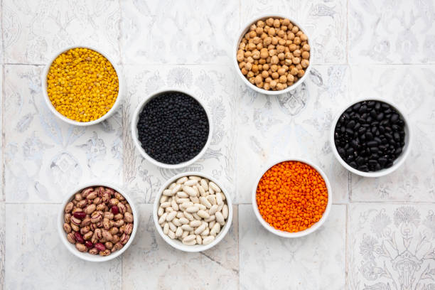 High Protein Foods for Vegetarians