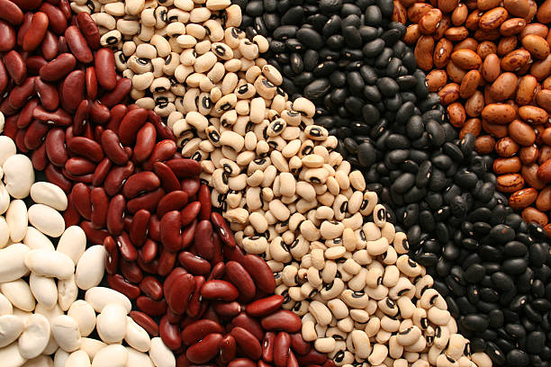 high protein vegan foods