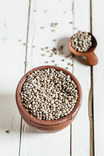 sources of protein for vegetarians