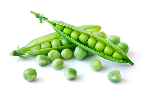 protein rich food for vegetarians