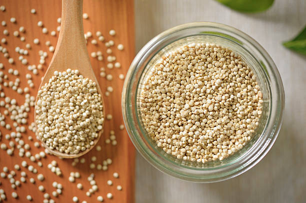 protein rich veg food