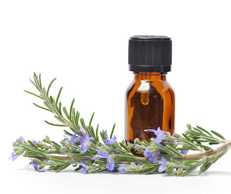 rosemary oil