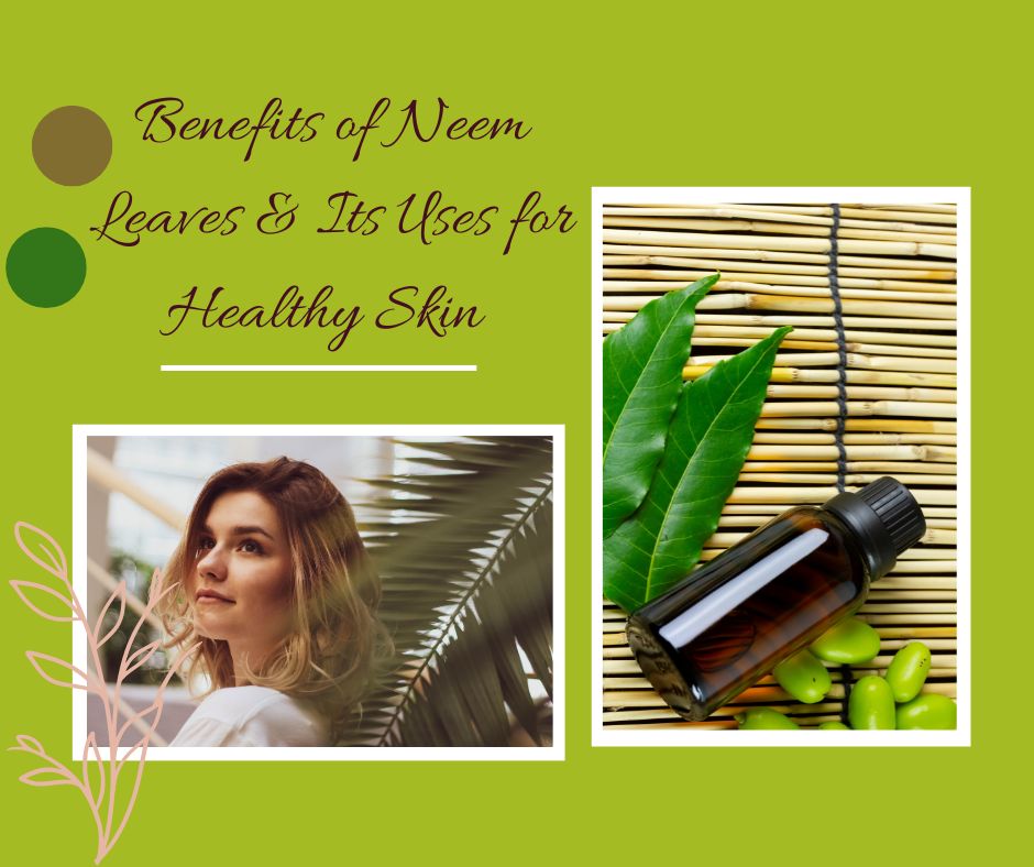 Benefits of Neem Leaves & its uses for Healthy Skin