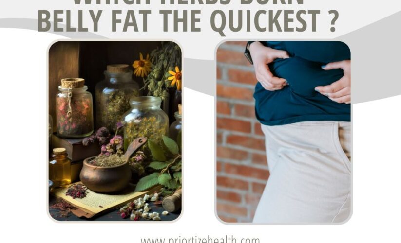 Which Herbs burn Belly Fat the quickest